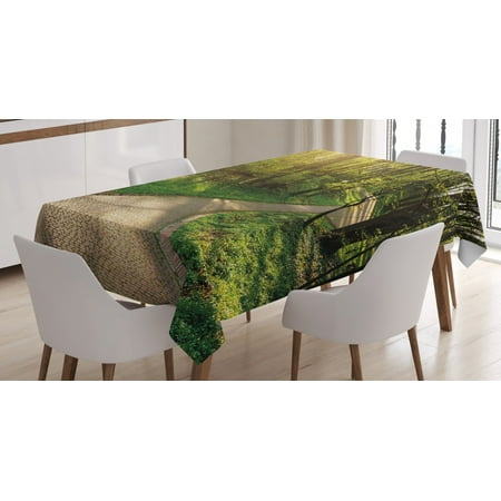 

Outdoor Tablecloth Footpath Green City Park Sun Rays Freshness Hiking Forest Tranquil Botany Rectangular Table Cover for Dining Room Kitchen 60 X 84 Inches Green Beige Yellow by Ambesonne