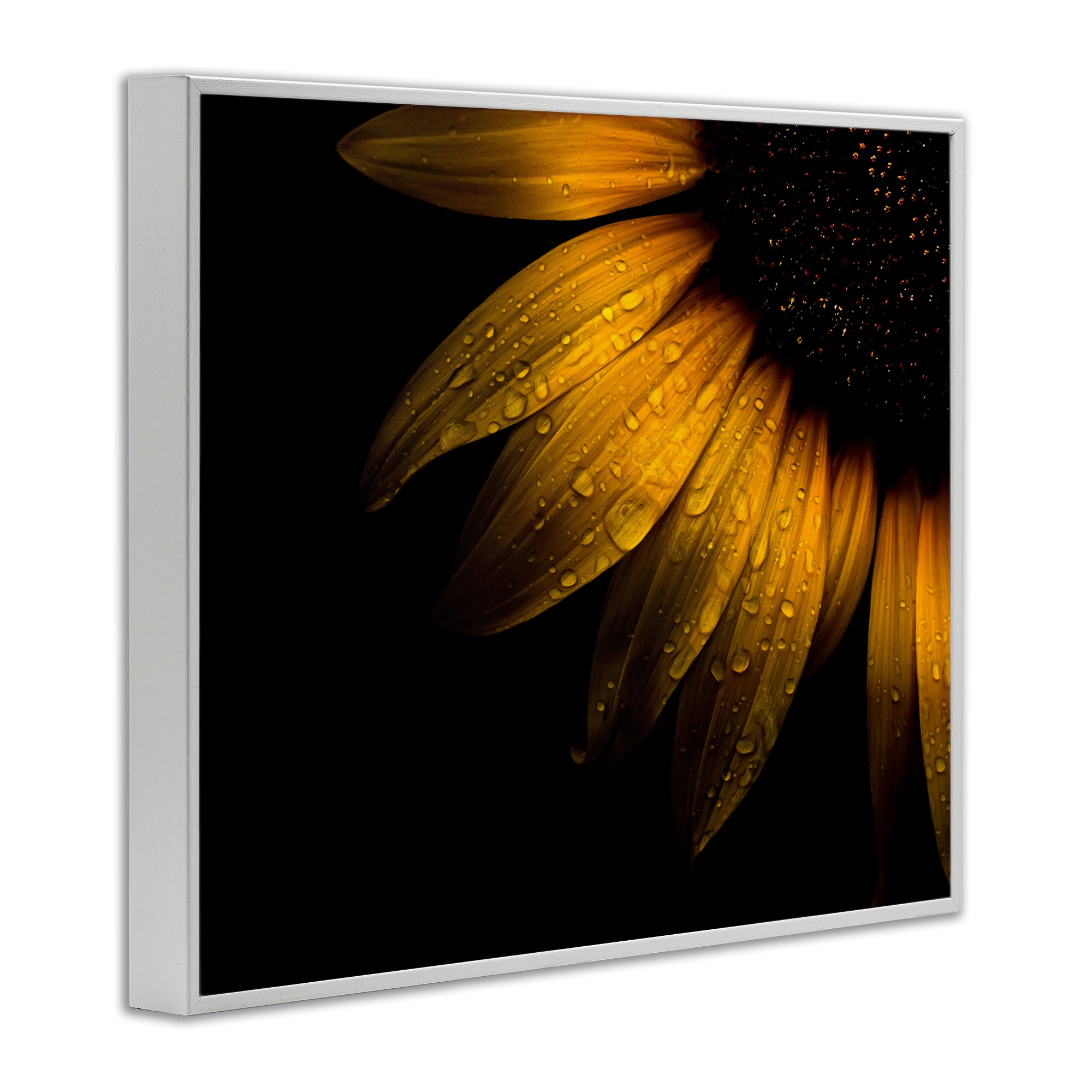 Water Droplets on Sunflower White Framed Giclee Art, design by Brian Carson Photography