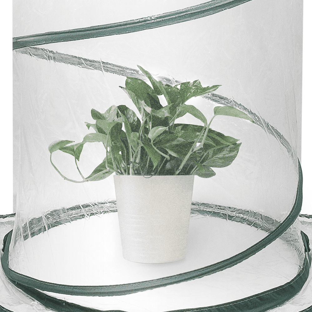 Zenport SH3240 Portable Pop Up Greenhouse, 26-Inches High, Green