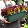 thumbnail image 1 of Balcony Pot Flower Vegetable Plastic Trough Pot Vegetable Patio & Garden,Vegetable Pot*1 Clearance, 1 of 7