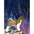 thumbnail image 1 of Carolines Treasures SS8352GF Drapeau Starry Night Akita - Taille Jardin, 1 of 3