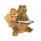thumbnail image 2 of Estatua de animal regalo DIY decoración en maceta figuras en miniatura escultura de resina para Libro Tortuga Rabblt, 2 of 8
