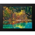 thumbnail image 2 of Krahmer, Frank 18x15 Black Modern Framed Museum Art Print Titled - Forest in autumn colours, Sichuan, China, 2 of 5