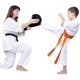 thumbnail image 5 of Taekwondo Double Kick Target Pads Durable Strike Boxing Pads Martial Arts Equipment Karate Kickboxing Punch Pads Practice for Kids Youth Adult, 5 of 5