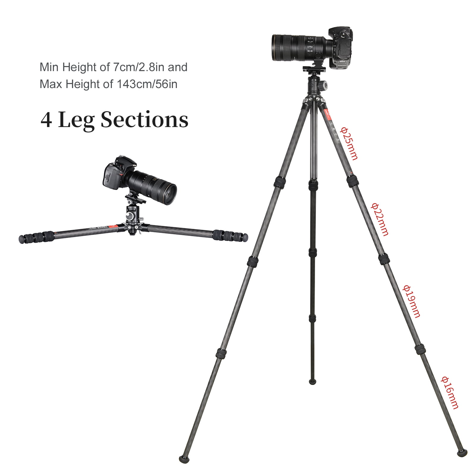 SUNWAYFOTO T2541CE Travel Tripod Carbon Fiber Compact Light Portable Professional Tripod Dslr Camera Waterproof,26.5lb Load