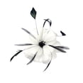 thumbnail image 4 of Broche de flor Loral para mujer con pinzas para el pelo de plumas jinwen, 4 of 8