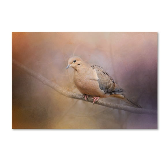 Trademark Fine Art Jai Johnson Mourning Dove On A Winter Evening Canvas Wall Art - 16x24