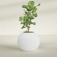 thumbnail image 2 of Greenline Nala Globe Planter - Indoor/Outdoor Large Fiberglass Lightweight Planter - 30" x 30" x 24" (Gloss White), 2 of 7