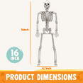 thumbnail image 4 of Syncfun 6 Pcs Skeleton Halloween Decorations,16 Inch Full Body Poseable Skeleton with Movable Joints for Halloween Indoor Outdoor Party,Graveyard,Haunted House Accessories, 4 of 6