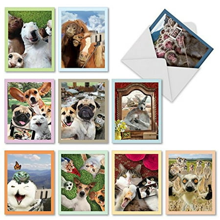 'M2373TYG ANIMAL SELFIES' 10 Assorted Thank You Cards Featuring Wild and Wacky Animal Friends Taking Pictures of Themselves with Envelopes by The Best Card