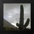 thumbnail image 2 of Popcorn 12x12 Black Modern Framed Museum Art Print Titled - Saguaro Arrow, 2 of 5
