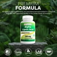 thumbnail image 5 of 2 Pack Best Naturals Alpha Lipoic Acid 200 Mg 120 Capsules, 5 of 7