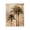 Rustic Palm Trees Paradise, variant on Stupell Industries Coastal Distressed Palm Tree Canvas Art, 16 x 20, by Dan Sproul