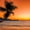Beach Sunrise Palm, variant on Elephant Stock Palm Tree Beach Sunset Wall Art - Horizontal Canvas Wall Art - Living Room Wall Decor - Beach Canvas - Black And Brown Decor - 12" x 8"