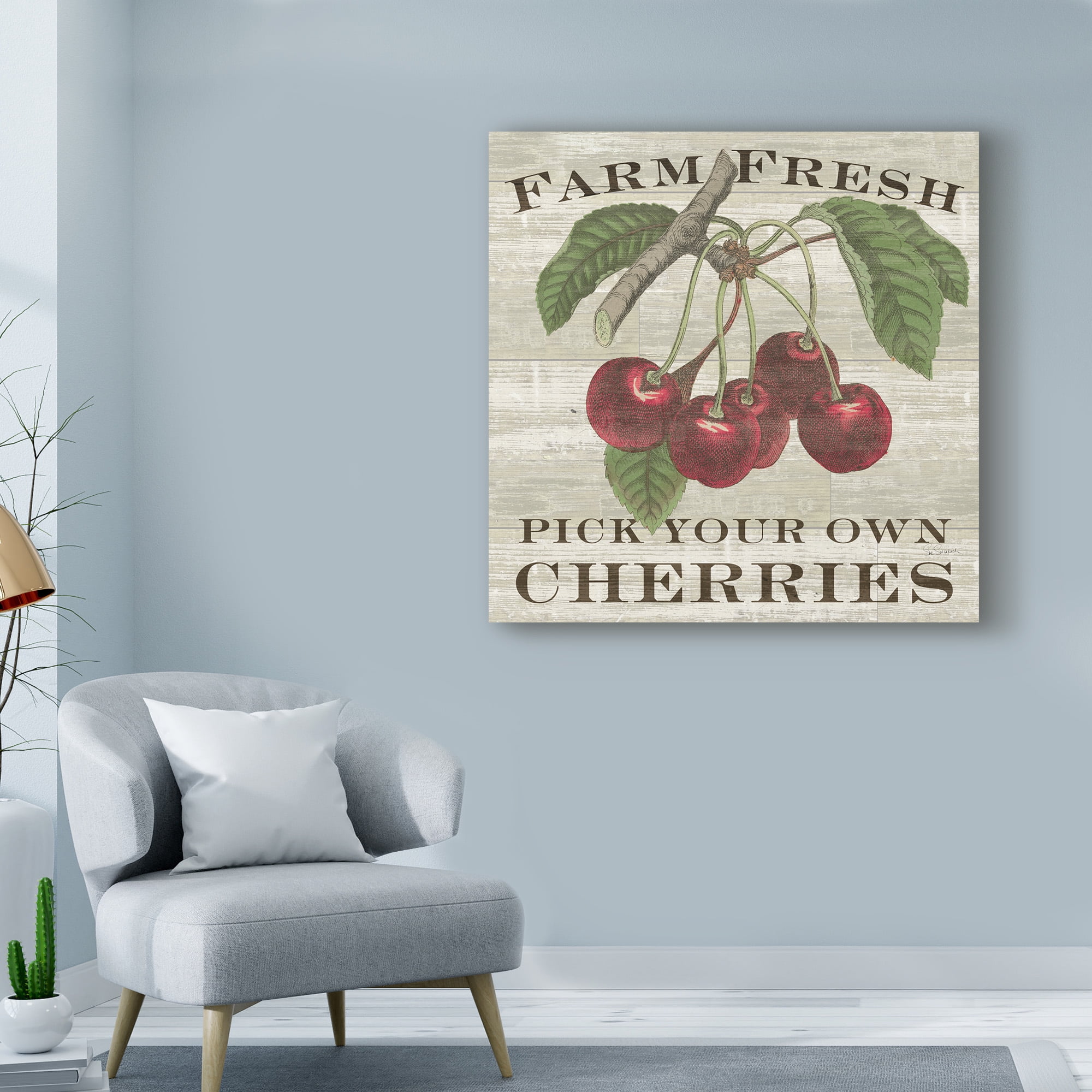 Trademark Fine Art 'Farm Fresh Cherries Square' Canvas Art by Sue Schlabach