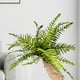thumbnail image 5 of Flores para la Decoración Simulación de Hierba Persa, Pequeñas Hojas Persas, Simulación de Hojas de Helecho Floral, Ramo de Simulación de Plantas, Decoración Del Hogar Ramo de Flores en Vivo, 5 of 8