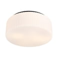 thumbnail image 4 of Edgemont 4-Light Ceiling Light in Matte Black, 4 of 6