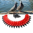 thumbnail image 4 of Arrosoir pour Poulet, Bol à Boire pour Volaille Résistant aux Chutes 20 Pcs pour Oiseau pour Poule Rouge, 4 of 8