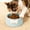 Green-A, variant on Elevated Green Cat Food & Water Bowl, 250ml Large Capacity Raised Plastic Cat Bowl with Neck Protection, Whisker-Friendly Anti-Tip Cute Pet Feeding Bowl for Indoor Cats