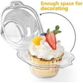 thumbnail image 5 of Cup X50 50 Pack Individual Cupcake Containers Stackable Single Compartment Cupcake Disposable Holder Box Deep Dome Clear Plastic White, 5 of 5