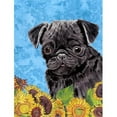thumbnail image 1 of Carolines Treasures SC9062CHF Drapeau Pug Toile Taille Maison, 1 of 4