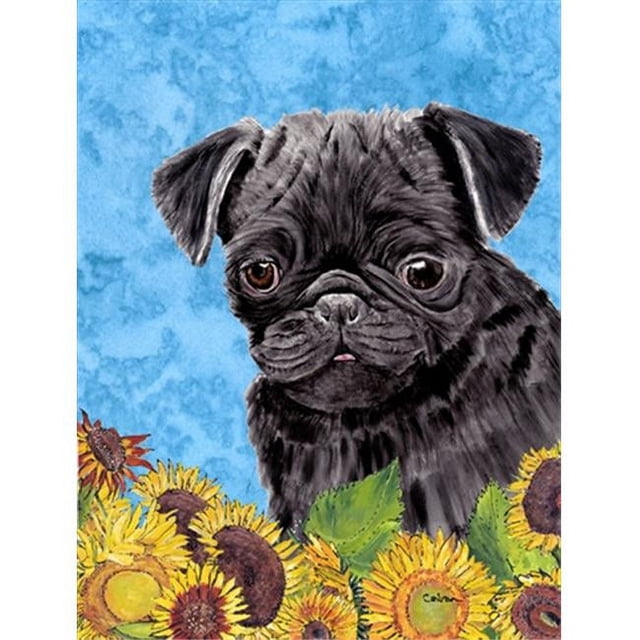 Carolines Treasures SC9062CHF Drapeau Pug Toile Taille Maison