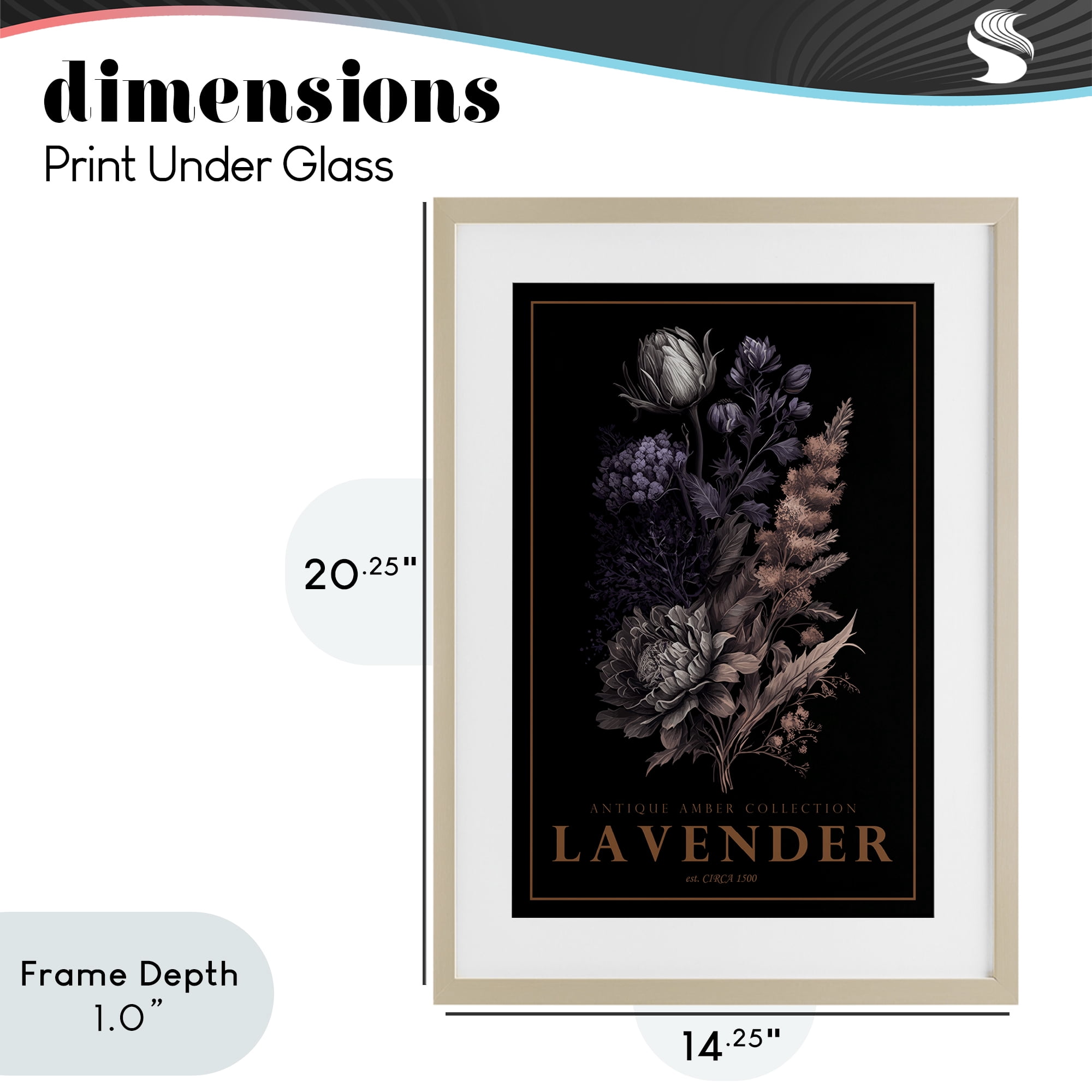 Stupell Industries Antique Lavender Light Birch Framed Print Under Glass, design by Chris Giampietro
