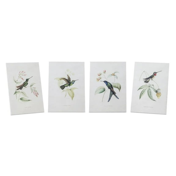 Melrose Hummingbird Bird Framed Prints - 8" x 5.5" - Set of 4