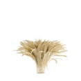 thumbnail image 2 of Zucker Feather Products Rooster Coque Tails Feathers Bleach Dyed 11-14" - Beige, 2 of 2