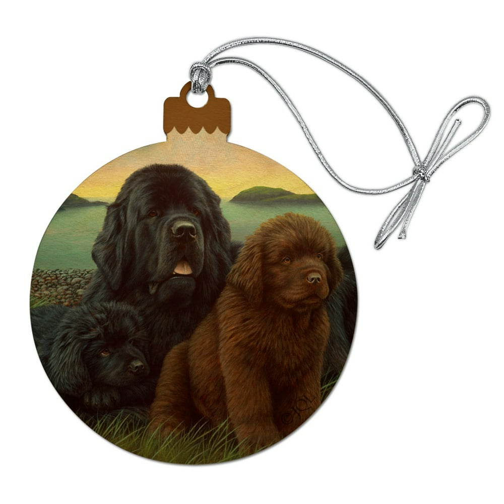 Newfoundland Dogs Puppies Countryside Wood Christmas Tree Holiday