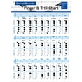 thumbnail image 1 of Recorder Chords Finger Chart Multi Colored 1Pcs 22.01X15.72In, 1 of 5