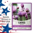 thumbnail image 6 of Onion Chives Seeds, 6 of 7