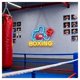 thumbnail image 3 of Letrero De Neón "BOXING" Con Brillo Ajustable Para Gimnasio, Sala De Deportes O Espacio De Ocio 53x40.3cm, 3 of 5