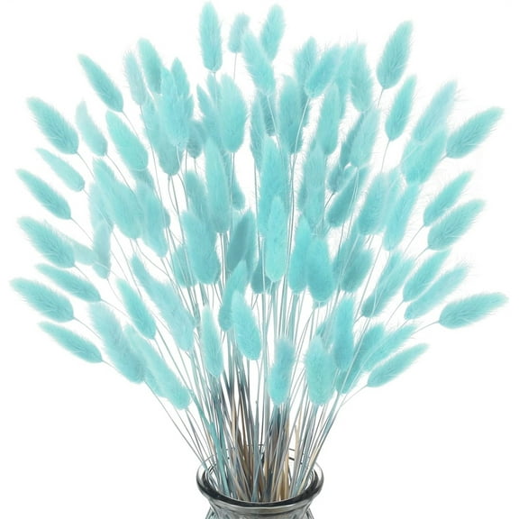 NOGIS Home Decoration Lagurus Ovatus Rabbit Tail Dried Flowers, Real Flower, Eternal Flower Dried Grass,Flower Bouquet, Natural Material Dried Flowers 60PCS (16 Inch,Blue)