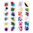 thumbnail image 1 of 90 Uds. Flores secas para uñas, 36 colores, arte 3D para uñas, flores reales, pétalos secos naturales, decoración de hojas para decoración de manicura, 1 of 5