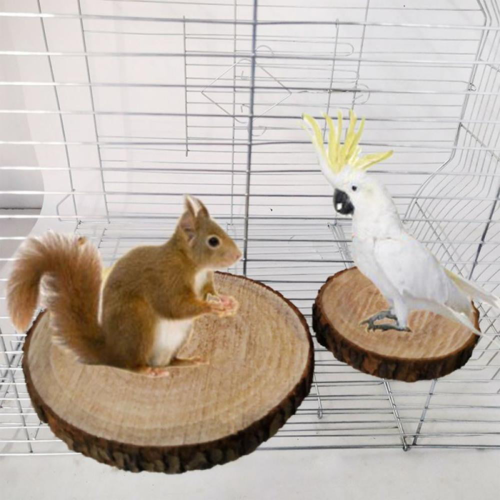 Playground Springboard Paw Grinding Clean for Small and Medium Parrots Parakeet Budgies Hamster Cage QBLEEV Round Natural Wood Bird Perch Platform Toy for Bird Cage 