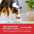thumbnail image 5 of Purina ONE Chicken and Rice Formula Dry Dog Food - 31.1 lb. Bag (Pack of 10), 5 of 6