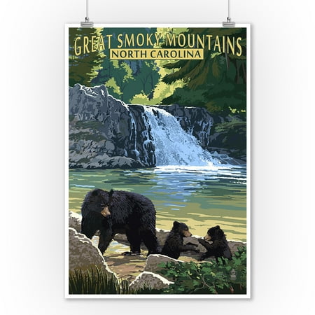Great Smoky Mountains, North Carolina - Falls -  Lantern Press Artwork (9x12 Art Print, Wall Decor Travel