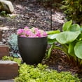 thumbnail image 5 of Southern Patio  Egg Planter Coffee 13" Dia., 5 of 10