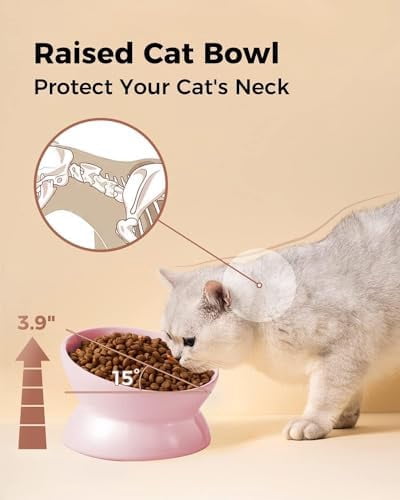 Elevated Cat Food Bowl, 5 Oz Ceramic Raised and Tilted Water Bowl, Anti Vomiting and Protect Pets' Spines Dishes for Small Dog, Fat Faced Cat, Kitten (Pink, 2 Pack)