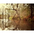 thumbnail image 2 of Suchocki, Irene 32x26 Gold Ornate Wood Framed with Double Matting Museum Art Print Titled - Deep South I, 2 of 4