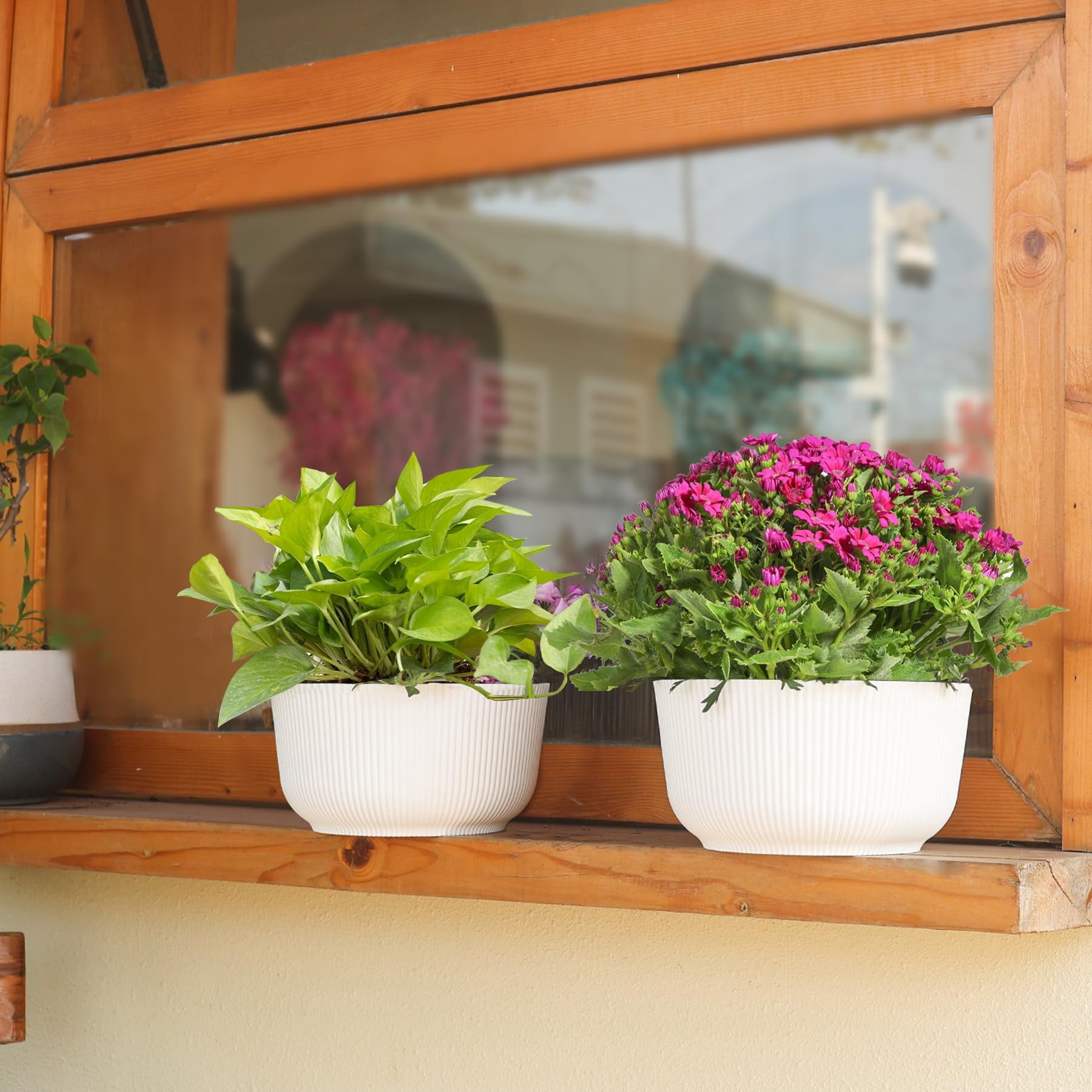 4 Inch Self Watering Plant Pots 6 Pack Small Indoor Planters for African Violets Succulents Durable White Plastic Gardening Containers