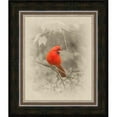 thumbnail image 1 of Somerset House Publishing 5114 Homme Cardinal&44; Encadré Giclee Toile Art, 1 of 1