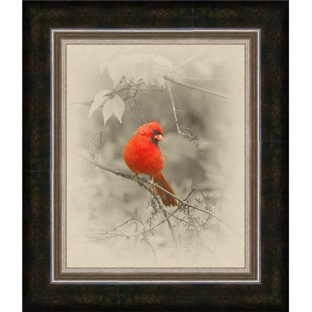 Somerset House Publishing 5114 Male Cardinal, Framed Giclee Canvas Art