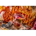 thumbnail image 2 of Perry, William 14x11 White Modern Wood Framed Museum Art Print Titled - Red-orange and yellow petrified wood abstract-Blue Mesa-Petrified Forest National Park-Arizona, 2 of 4
