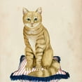 thumbnail image 2 of Popp, Grace 12x12 White Modern Wood Framed Museum Art Print Titled - Lady Cat IV, 2 of 4