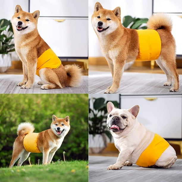 Dog belly band hot sale walmart