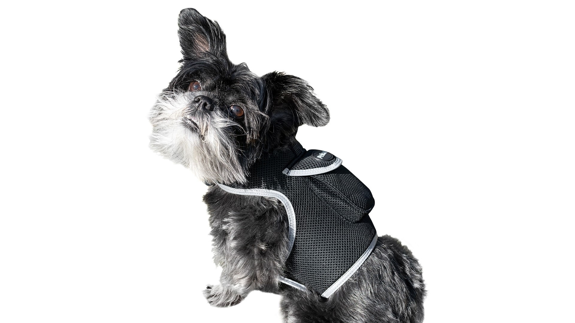 Mini Pet Location Tracking w/ Waterproof GSM GPRS Pet Tracking Device Size:M