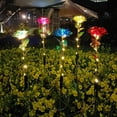 thumbnail image 4 of Toystoory Luces de flores con energía solar, luces decorativas para césped al aire libre, luz solar para césped de rosas, jardín y patio Jardín y Patio, 4 of 6