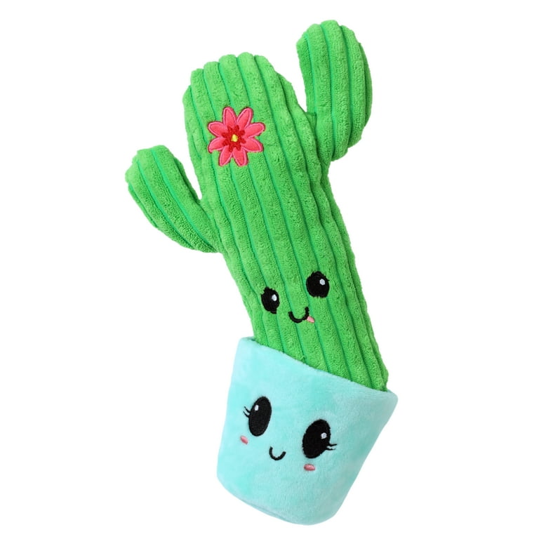 Pet Zone Squeaky Cactus 2 in 1 Pocket Plush Squeaky Dog Toys for